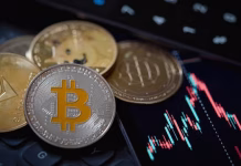 Cryptocurrency scam: Sriki, Khandelwal get conditional bail in money-laundering case