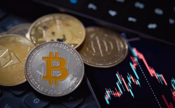 Cryptocurrency scam: Sriki, Khandelwal get conditional bail in money-laundering case