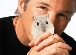 Richard Gere’s gerbil rumour gets the podcast treatment