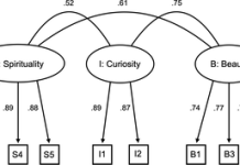 Measure of Emotional Episodes with Music (MEEM): Development and psychometric evaluation of a modular instrument