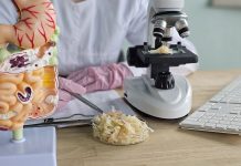 Food microbiome research: proving useful effects