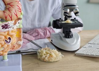 Food microbiome research: proving useful effects